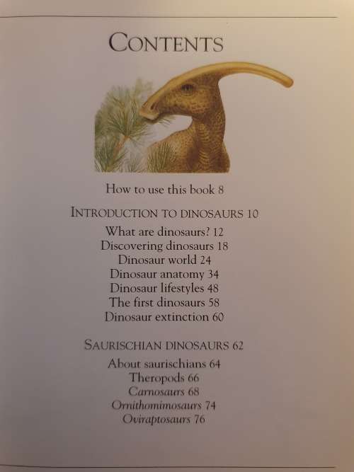 Pockets - Dinosaurs (Paperback)