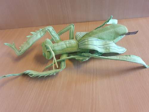 Trudi Praying Mantis - Made in Italy