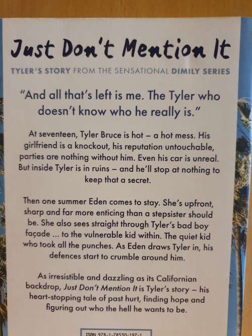Just Don`t Mention It: Estelle Maskame (Paperback)