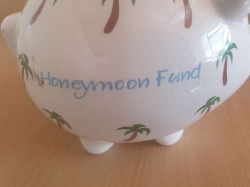 Honeymoon Fund Piggy Bank