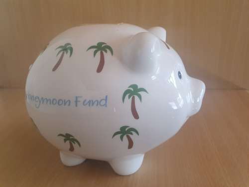 Honeymoon Fund Piggy Bank