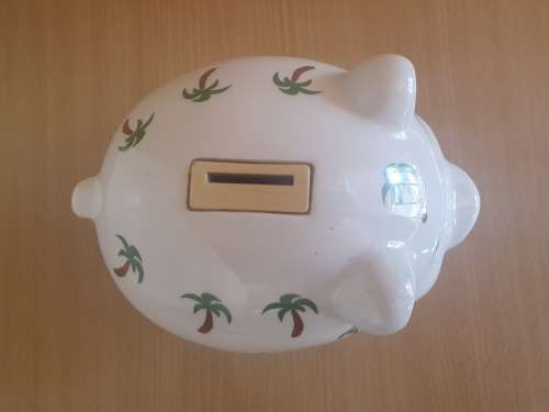 Honeymoon Fund Piggy Bank