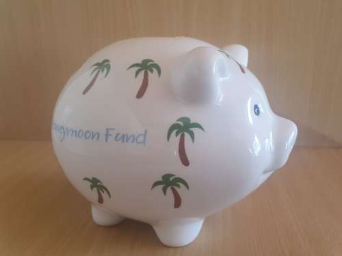 Honeymoon Fund Piggy Bank
