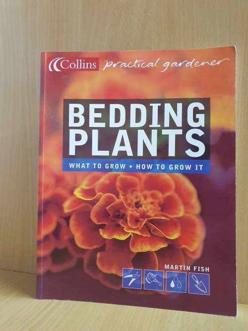 Bedding Plants - What to Grow - How to Grow it: Martin Fish (Paperback)