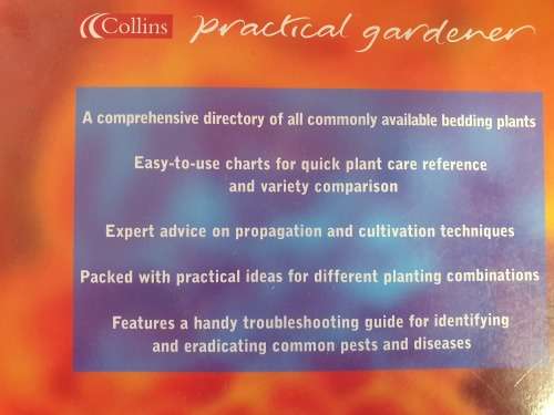 Bedding Plants - What to Grow - How to Grow it: Martin Fish (Paperback)