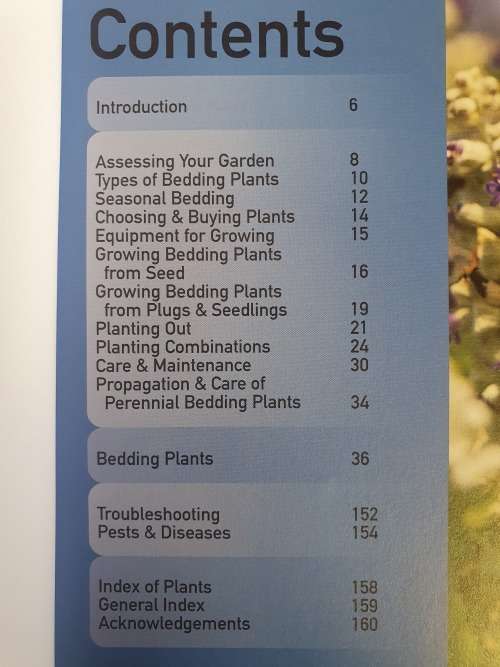 Bedding Plants - What to Grow - How to Grow it: Martin Fish (Paperback)