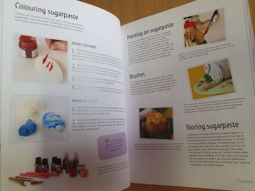 Character Cake Toppers (Over 65 design ideas for fondant sugar models) Maisie Parrish