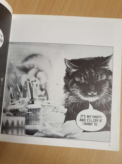 Cat Chat Edited by Peter Fincham (Paperback)