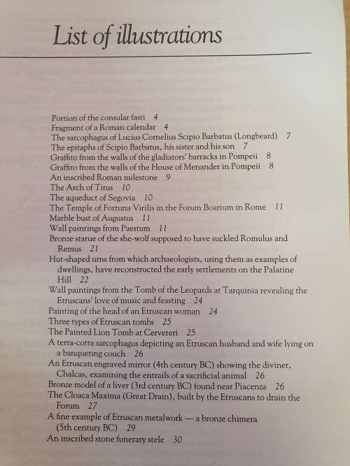 Ancient Rome - Using Evidence: Pamela Bradley (Paperback)