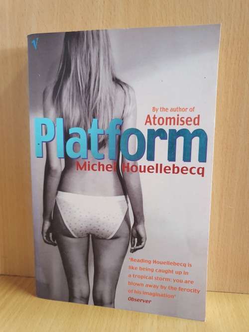 Platform : Michel Houellebecq (Paperback)