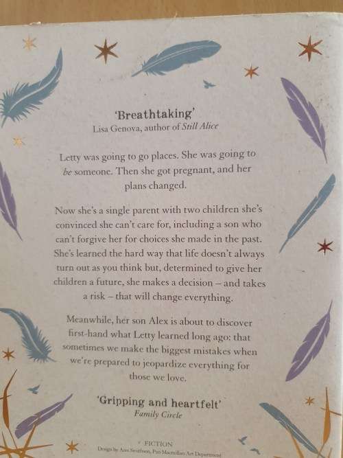We Never Asked for Wings: Vanessa Diffenbaugh (Paperback)
