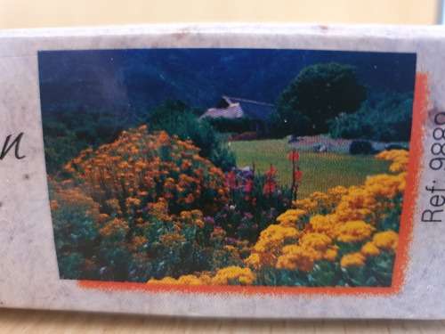 RGS - Kirstenbosch National Botanical Gardens, Cape Town -1500 Piece Puzzle