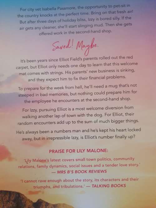 The Vet`s Country Holiday: Lily Malone (Paperback)