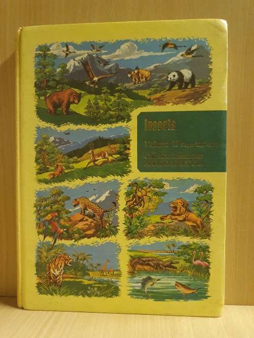 Insects of the New Illustrated Animal Kingdom - Volume 15 Pages 1807-1934