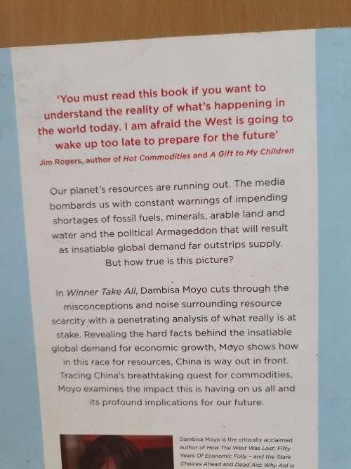 Winner Takes All: Dambisa Moyo (Paperback)