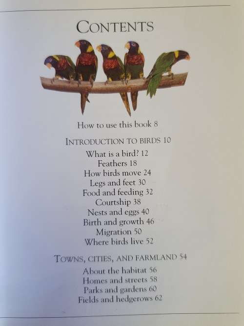 Puffin Pockets - Birds (Paperback)