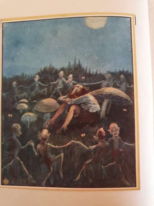 Tony-O`-Dreams : M. Nightingale (Hardcover)