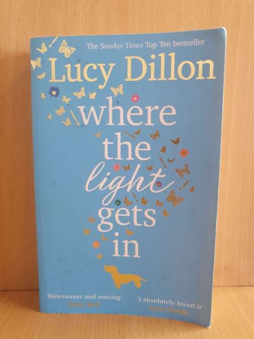 Where the Lights Gets in : Lucy Dillon (Paperback)