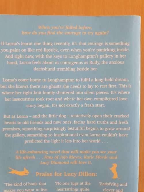 Where the Lights Gets in : Lucy Dillon (Paperback)