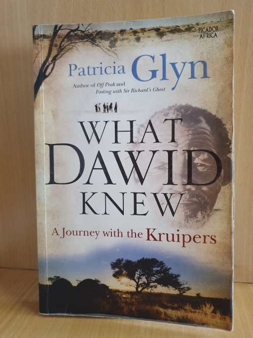What Dawid Knew: Patricia Glyn (Paperback)