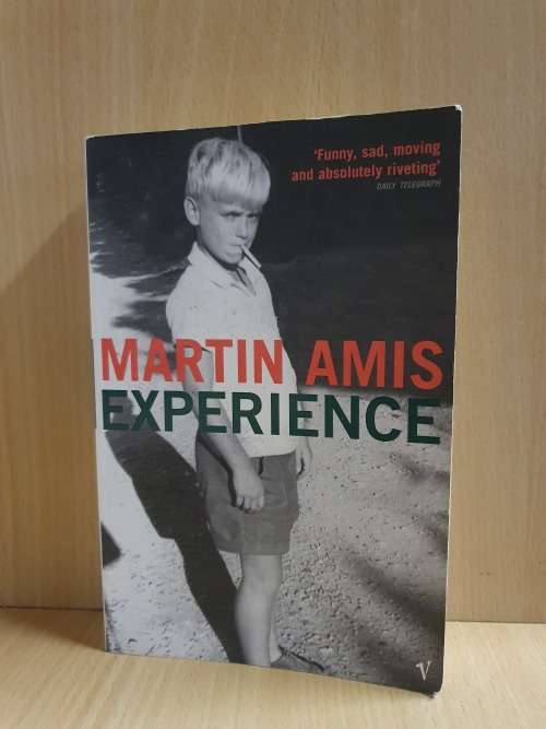 Experience: Martin Amis (Paperback)