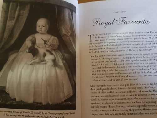 Reigning Cats and Dogs - A History of Pets at Court since The Renaissance: Katharine. Macdonogh