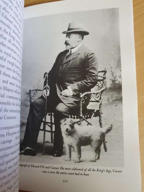 Reigning Cats and Dogs - A History of Pets at Court since The Renaissance: Katharine. Macdonogh