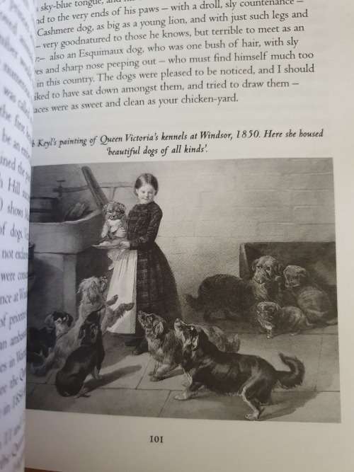 Reigning Cats and Dogs - A History of Pets at Court since The Renaissance: Katharine. Macdonogh