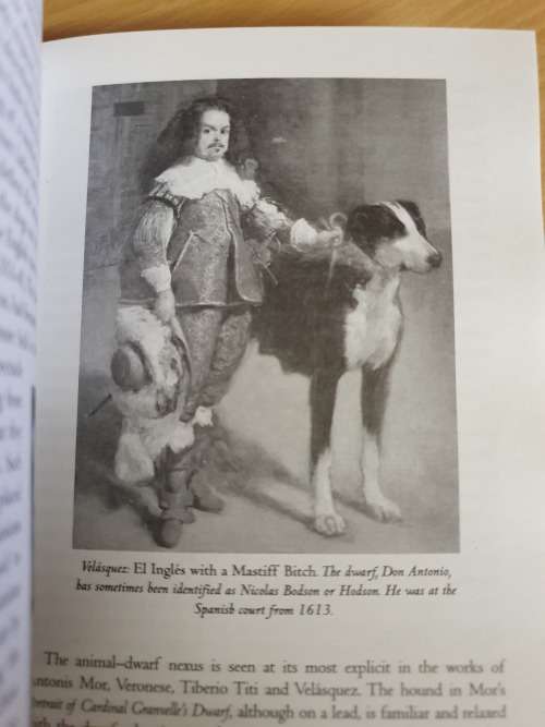 Reigning Cats and Dogs - A History of Pets at Court since The Renaissance: Katharine. Macdonogh