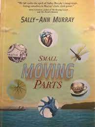 Small Moving Parts: Sally-Ann Murray (Paperback)