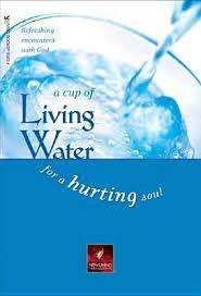 A Cup of Living Water for a Hurting Soul: David R. Veerman, Neil S. Wilson (Paperback)