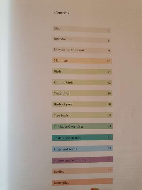 The Bikini Body - 28 Day Healthy Eating & Lifestyle Guide by Kayla Itsines (Paperback)