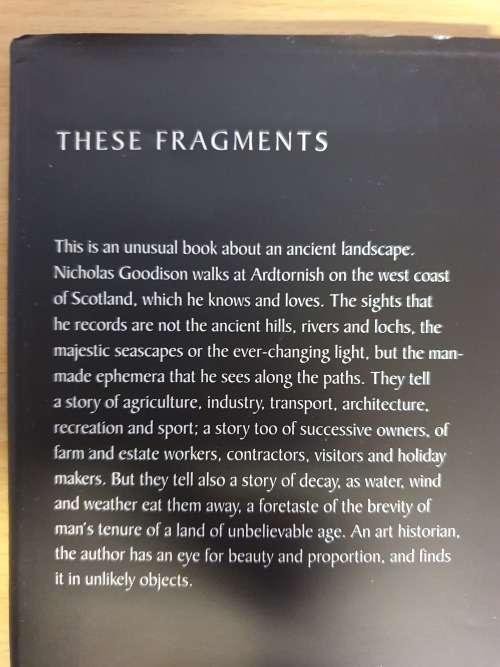 These Fragments: Nicholas Goodison (Hardcover)