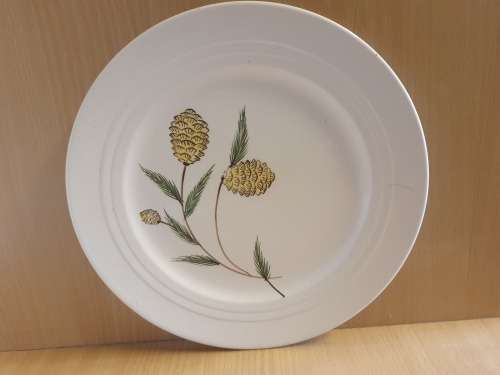 Set of 2 Royal Art Pottery Plates (Made in England) width 25cm