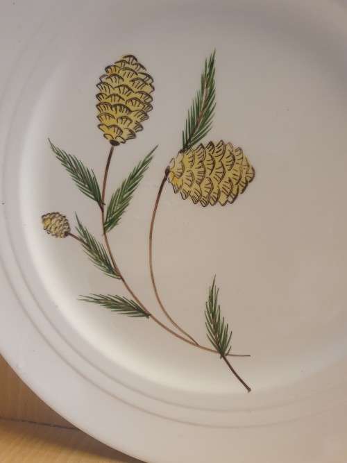 Set of 2 Royal Art Pottery Plates (Made in England) width 25cm
