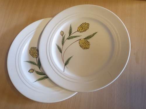 Set of 2 Royal Art Pottery Plates (Made in England) width 25cm