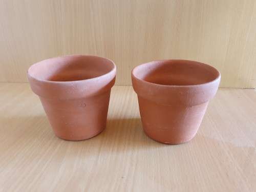 Set of 2 Small Terracotta Plant Pots