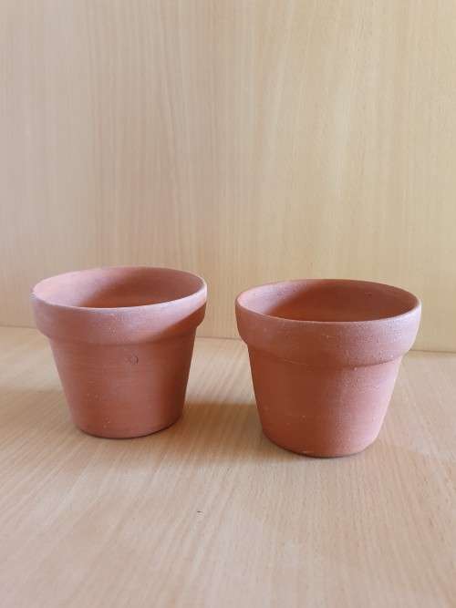 Set of 2 Small Terracotta Plant Pots
