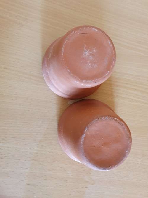 Set of 2 Small Terracotta Plant Pots