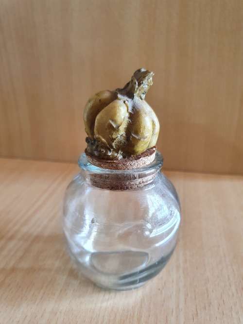 Set of 2 Small Glass Jars