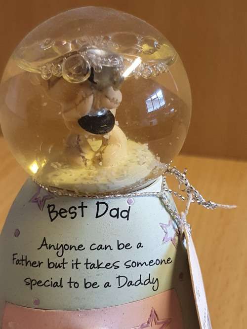 Best Dad Snow Globe (height 9cm width 7cm)