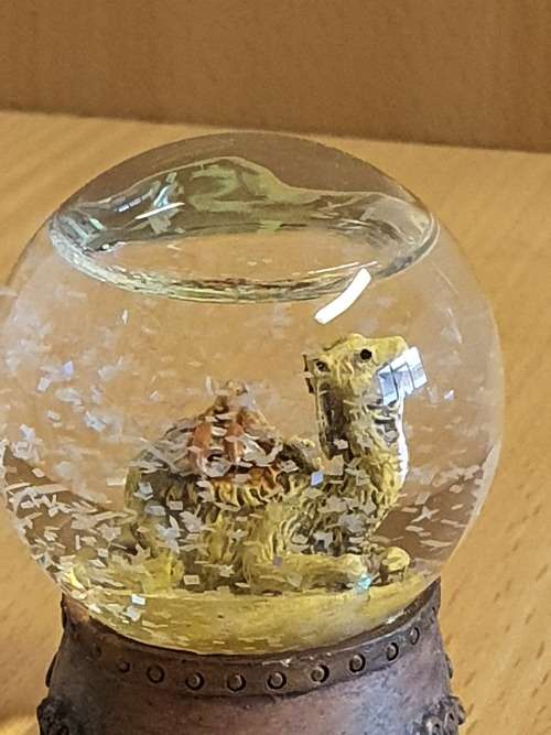 Small Camel Snow globe - height 7cm width 6cm