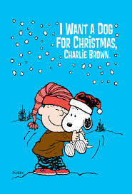 I Want a Dog for Christmas - Charlie Brown - Dvd