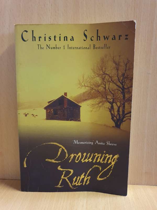 Drowning Ruth: Christina Schwarz (Paperback)