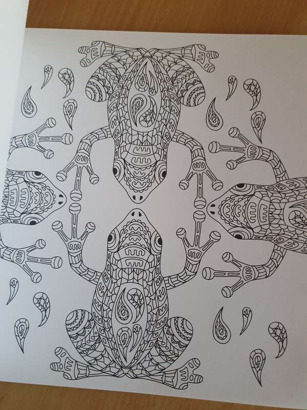 Wild Kingdom Artist`s Colouring Book (31 stress-relieving designs)