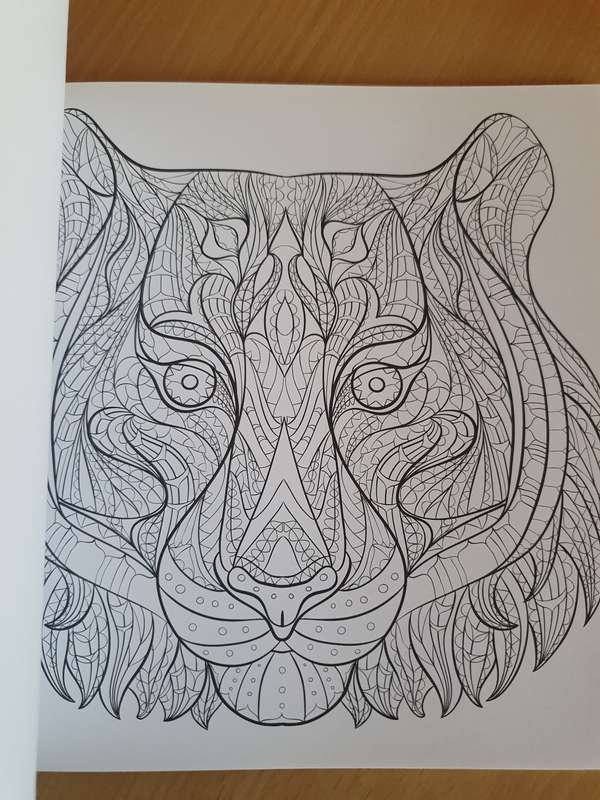 Wild Kingdom Artist`s Colouring Book (31 stress-relieving designs)