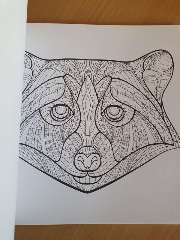 Wild Kingdom Artist`s Colouring Book (31 stress-relieving designs)