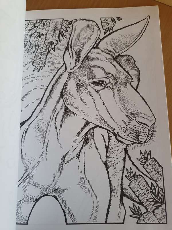 Wild Animal Portraits Colouring Book