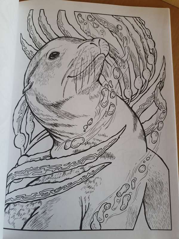 Wild Animal Portraits Colouring Book