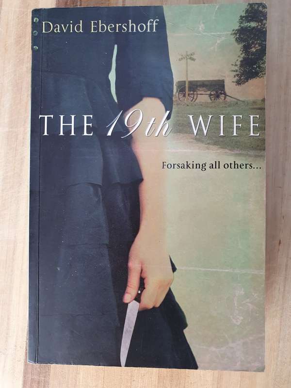 The 19th Wife: David Ebershoff (Paperback)